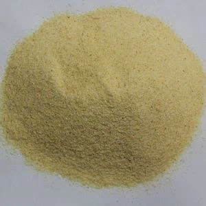 Bulk granulirani bijeli luk