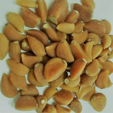 Organski češanj belog luka